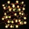 30 Led 10ft Christmas Pine Cones Red Berry Battery Operated Snowflake Lights